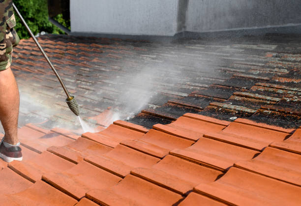 Best House Pressure Washing  in Glencoe, MN