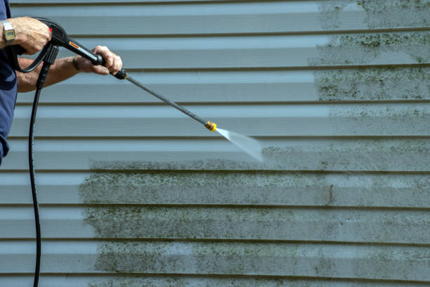 Best Commercial Building Pressure Washing  in Glencoe, MN