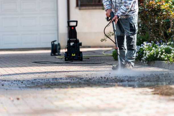 Best Roof Power Washing Services  in Glencoe, MN
