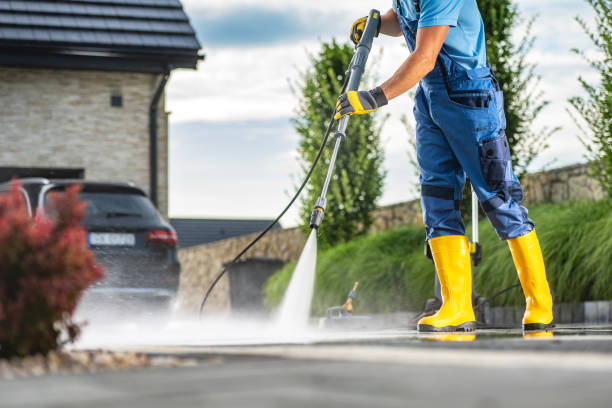 Best Exterior Home Cleaning  in Glencoe, MN